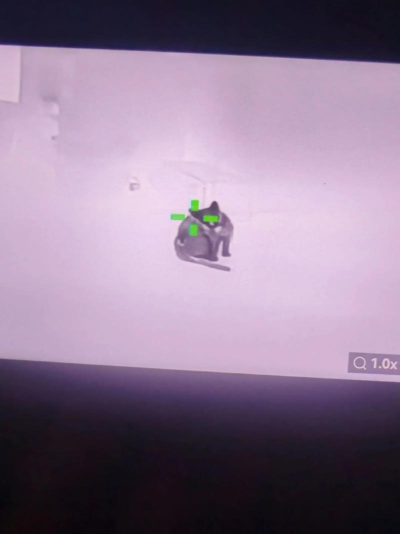 蛐螋虫咬人吗有毒吗